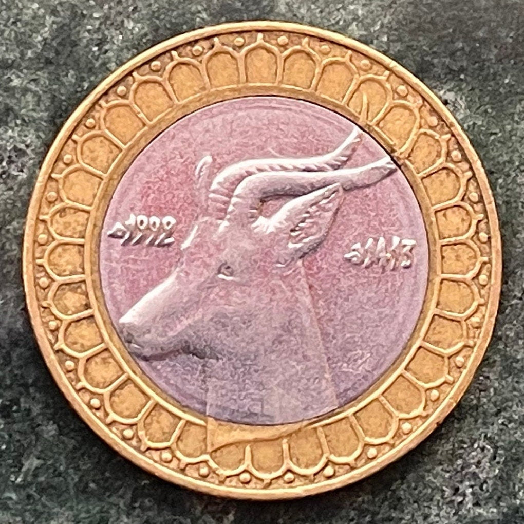 Dama Gazelle 50 Dinars Algeria Authentic Coin Money for Jewelry and Craft Making (Addra Gazelle) or (Mhorr gazelle) (Ménas) (Bimetallic) VF