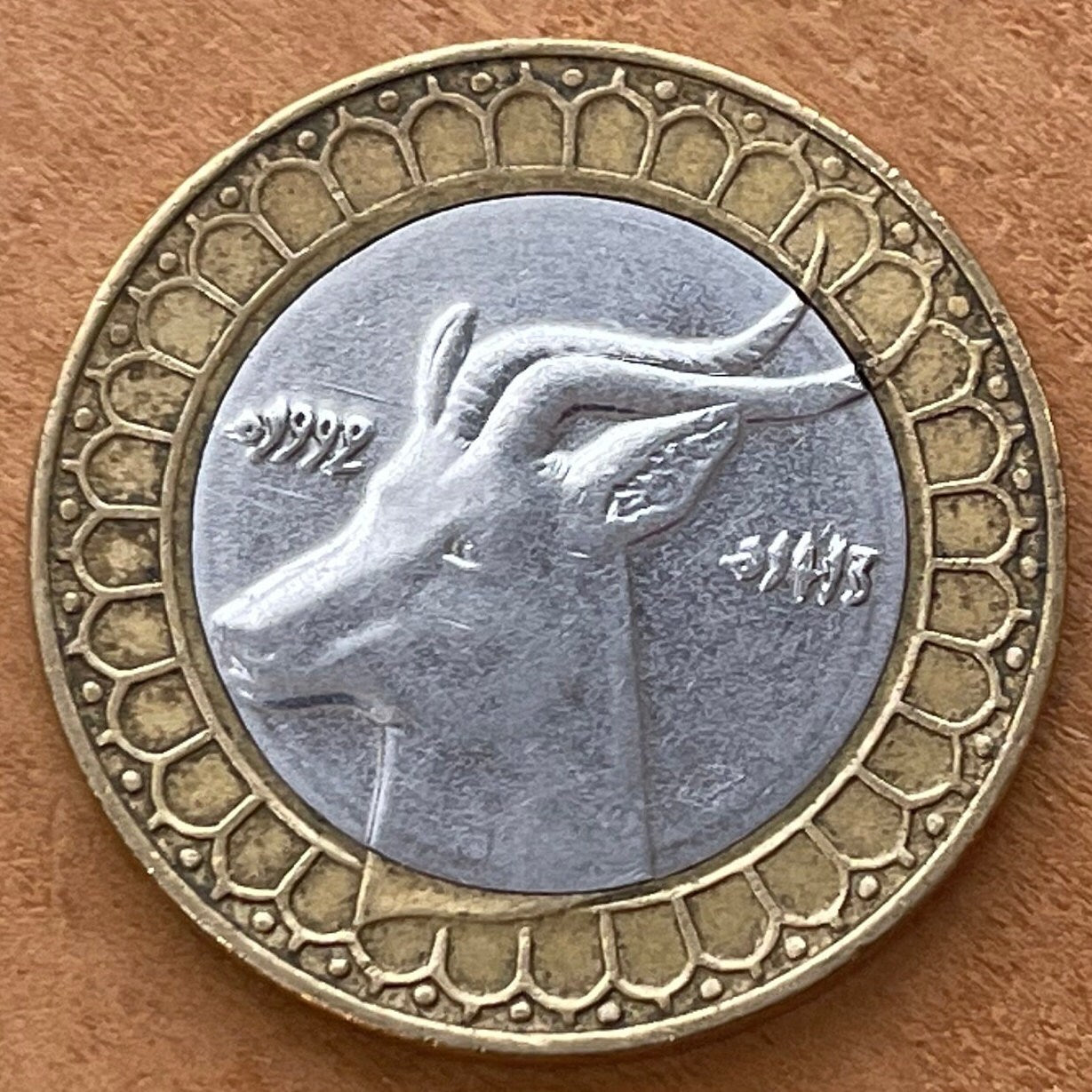 Dama Gazelle 50 Dinars Algeria Authentic Coin Money for Jewelry and Craft Making (Addra Gazelle) or (Mhorr gazelle) (Ménas) (Bimetallic) VF