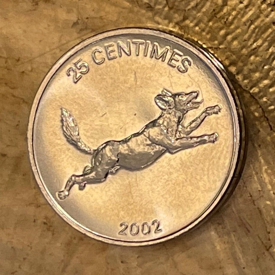 African Wild Dog & Lion 25 Centimes Congo Authentic Coin Money for Jewelry and Craft Making (Hunting Dog)