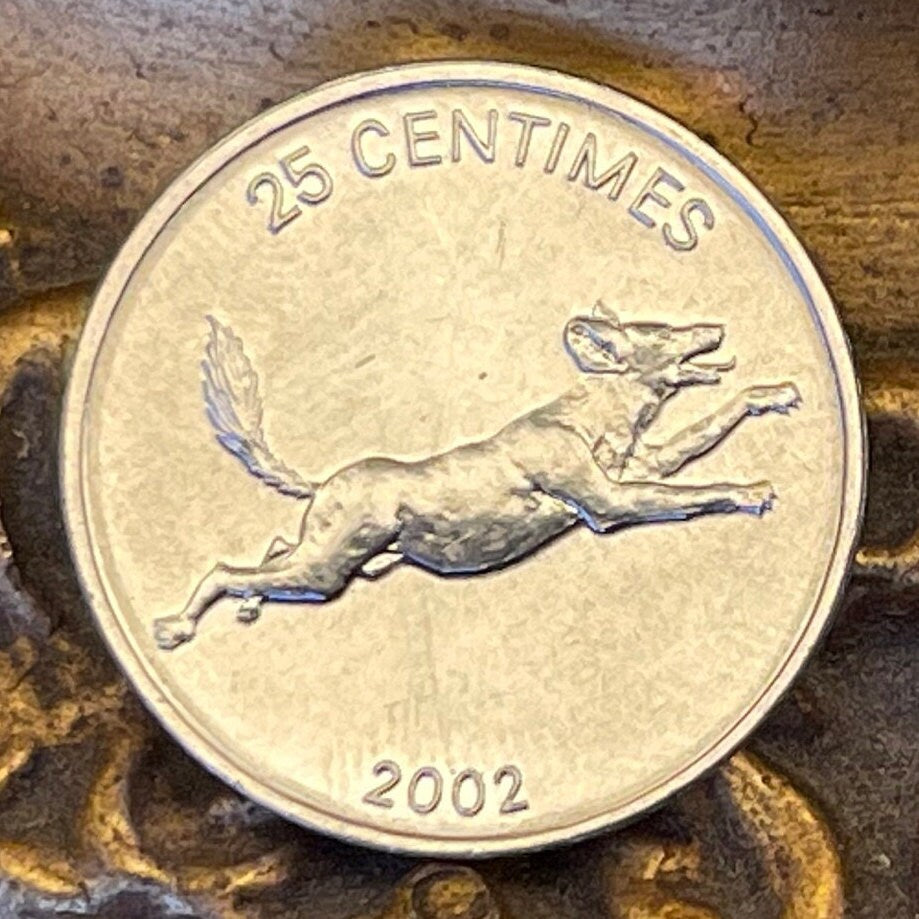 African Wild Dog & Lion 25 Centimes Congo Authentic Coin Money for Jewelry and Craft Making (Hunting Dog)