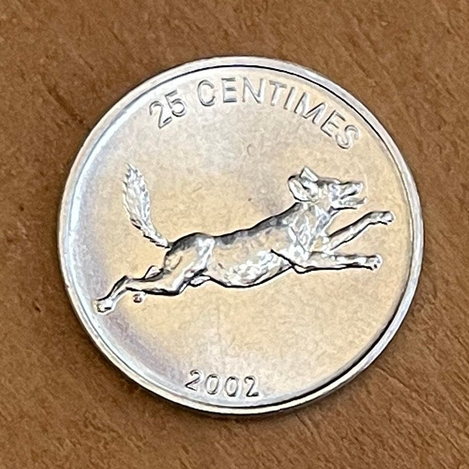 African Wild Dog & Lion 25 Centimes Congo Authentic Coin Money for Jewelry and Craft Making (Hunting Dog)