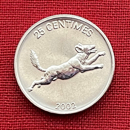 African Wild Dog & Lion 25 Centimes Congo Authentic Coin Money for Jewelry and Craft Making (Hunting Dog)