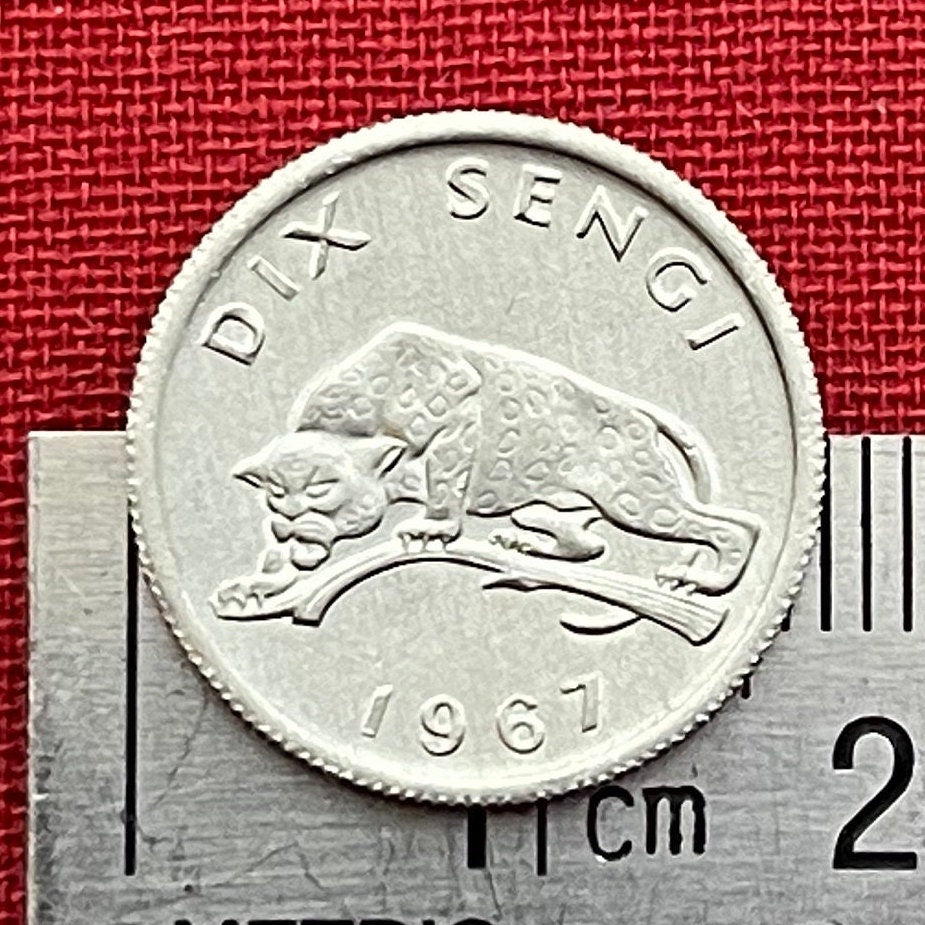 Leopard 10 Sengi Congo Authentic Coin Money for Jewelry and Craft Making (1967) (Wild Cat) (Big Cat)