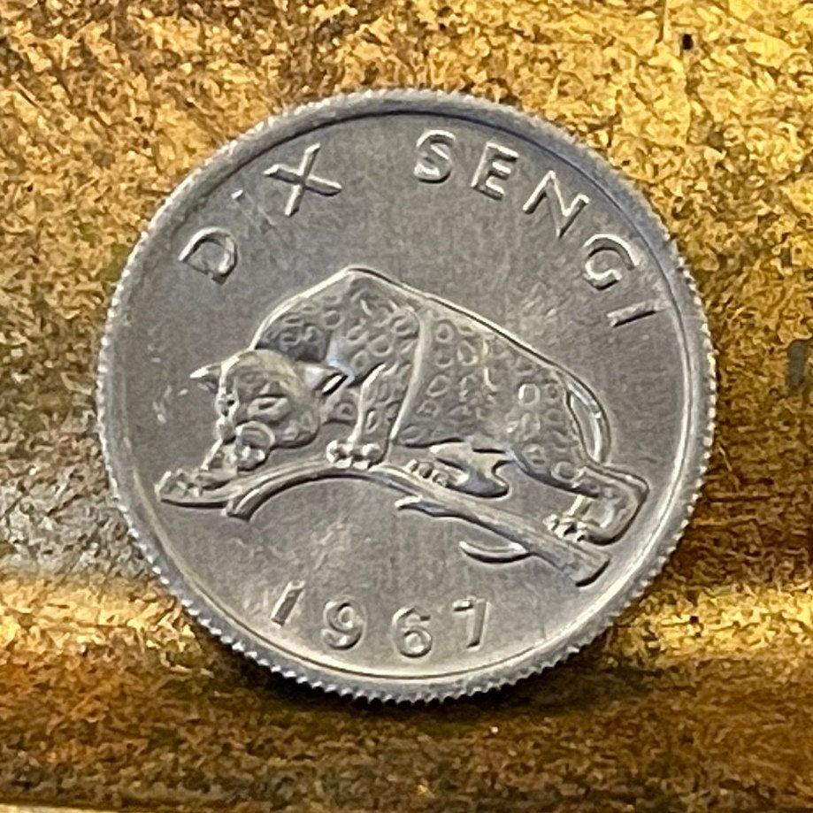 Leopard 10 Sengi Congo Authentic Coin Money for Jewelry and Craft Making (1967) (Wild Cat) (Big Cat)
