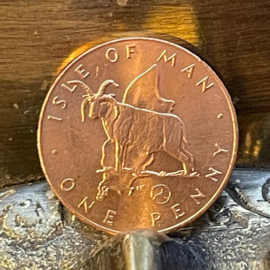 Manx 4-Horn Loaghtan Sheep 1 Penny Isle of Man Authentic Coin Money for Jewelry and Craft Making (Map of Isle of Man) (Triskele)