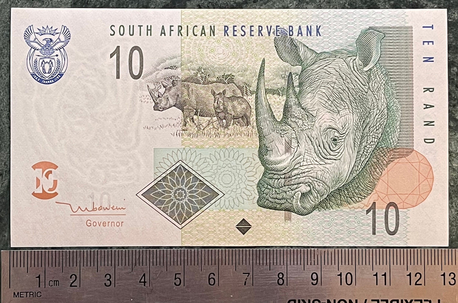 Southern White Rhino Family & Sheep Family 10 Rand South Africa Authentic Banknote Money for Jewelry and Collage