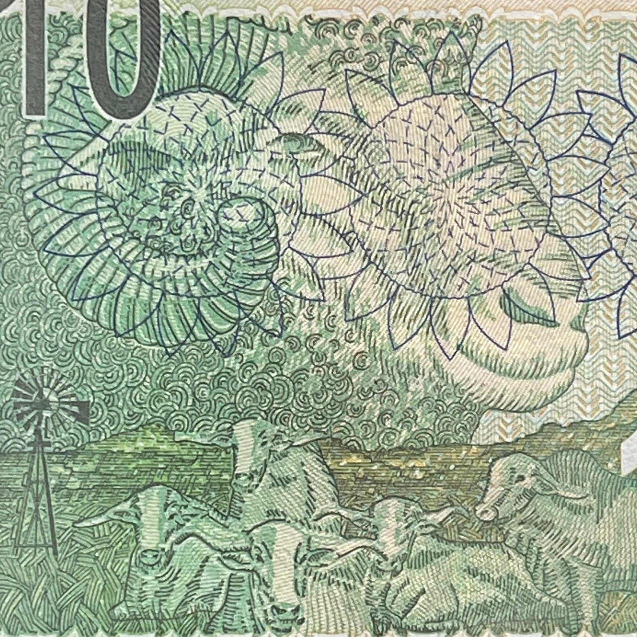 Southern White Rhino Family & Sheep Family 10 Rand South Africa Authentic Banknote Money for Jewelry and Collage