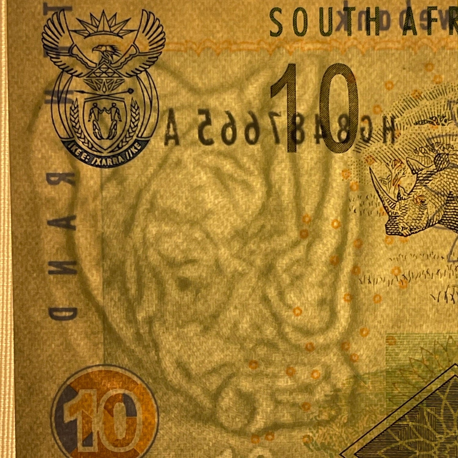 Southern White Rhino Family & Sheep Family 10 Rand South Africa Authentic Banknote Money for Jewelry and Collage