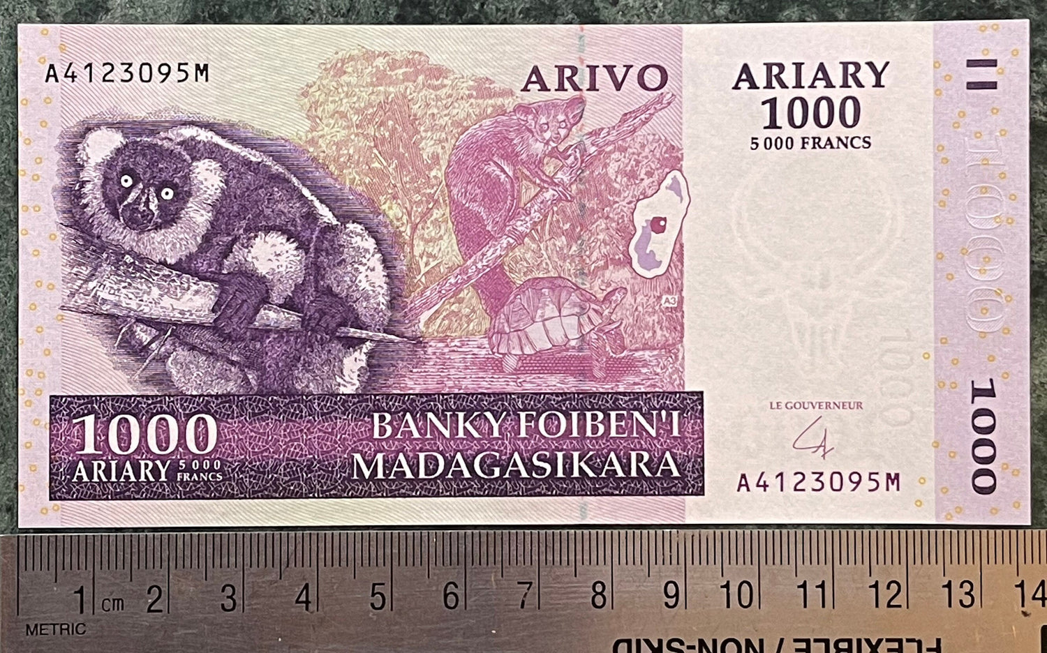Lemur, Aye-aye, Tortoise, Zebu 1000 Ariary Madagascar Authentic Banknote Money for Jewelry and Collage (Sisal) (Cactus) (Ruffed Lemur) 2004