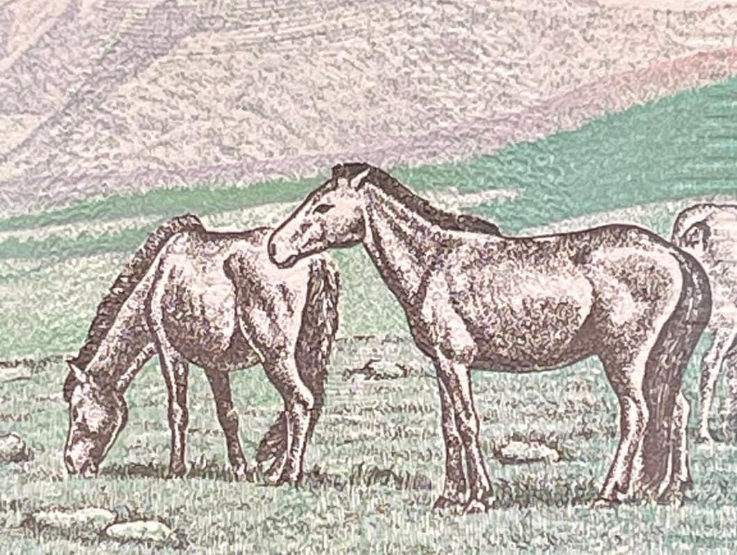 Mongol Horses & Revolutionary Damdin Sükhbaatar 10 Tögrög Mongolia Authentic Banknote Money for Jewelry Craft (Soyombo) (Paiza) Genghis Khan