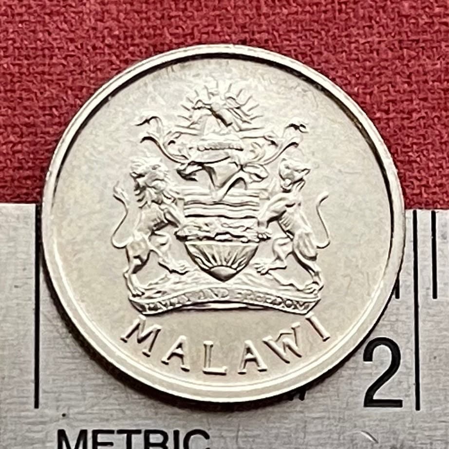 Purple Heron 5 Tambala Malawi Authentic Coin Money for Jewelry and Craft Making (Unity and Freedom)