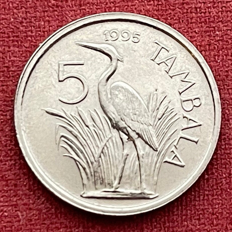 Purple Heron 5 Tambala Malawi Authentic Coin Money for Jewelry and Craft Making (Unity and Freedom)