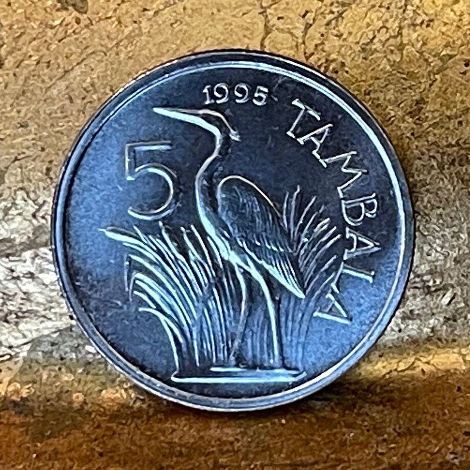 Purple Heron 5 Tambala Malawi Authentic Coin Money for Jewelry and Craft Making (Unity and Freedom)