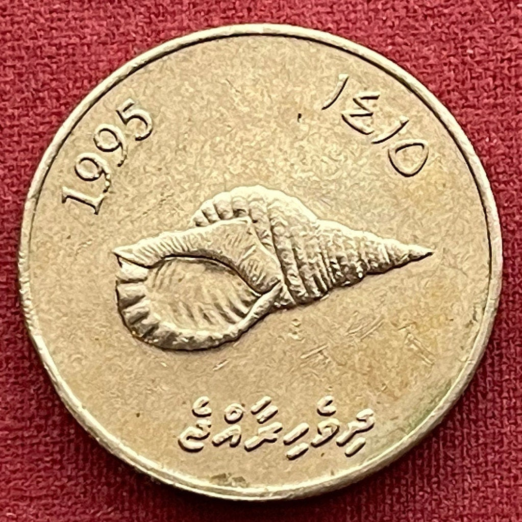 Giant Triton Shell & Reef Knot 2 Rufiyaa Maldives Authentic Coin Money for Jewelry and Craft Making