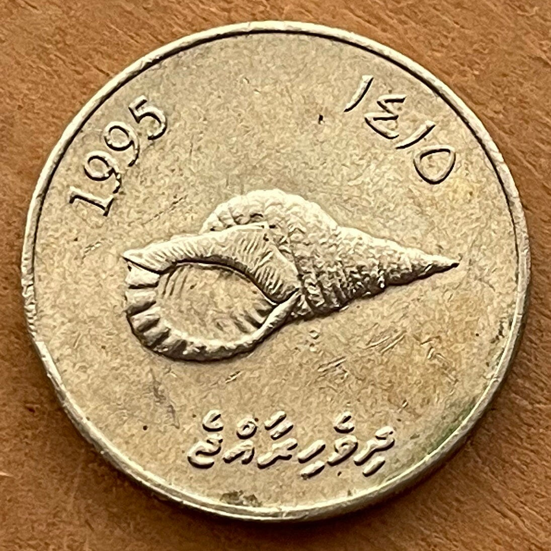 Giant Triton Shell & Reef Knot 2 Rufiyaa Maldives Authentic Coin Money for Jewelry and Craft Making