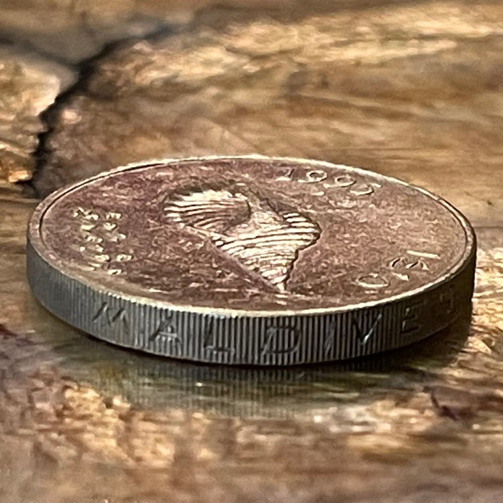 Giant Triton Shell & Reef Knot 2 Rufiyaa Maldives Authentic Coin Money for Jewelry and Craft Making