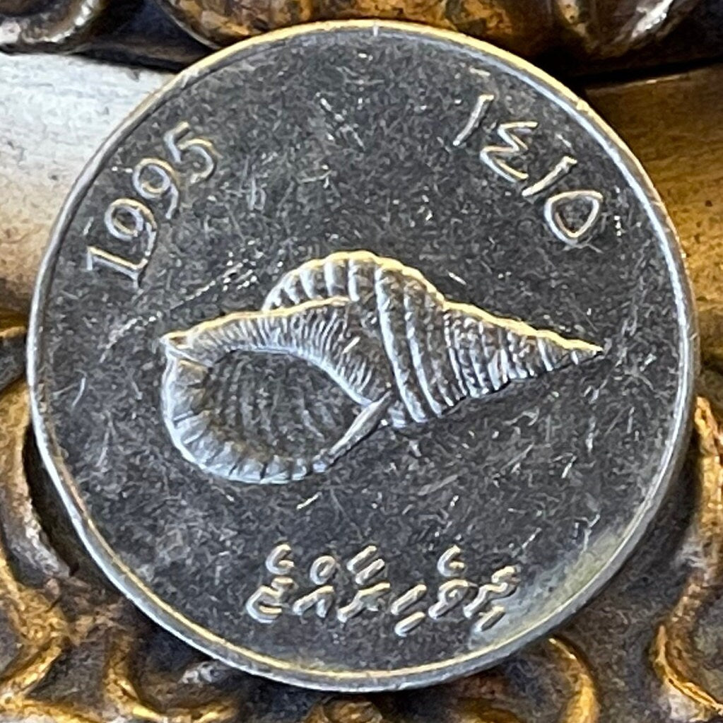 Giant Triton Shell & Reef Knot 2 Rufiyaa Maldives Authentic Coin Money for Jewelry and Craft Making