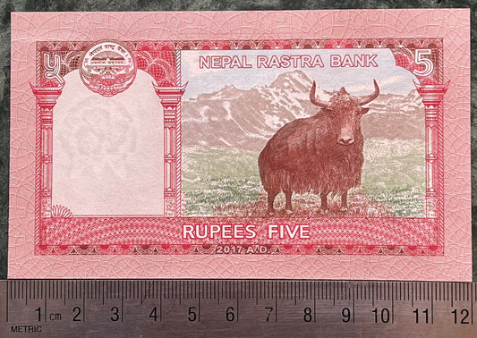 Wild Yak, Mount Everest, Kasthampandap Temple & Rhododendron 5 Rupees Nepal Authentic Banknote Money for Jewelry and Collage (Sagarmāthā)