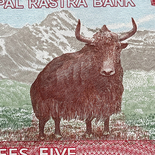 Wild Yak, Mount Everest, Kasthampandap Temple & Rhododendron 5 Rupees Nepal Authentic Banknote Money for Jewelry and Collage (Sagarmāthā)