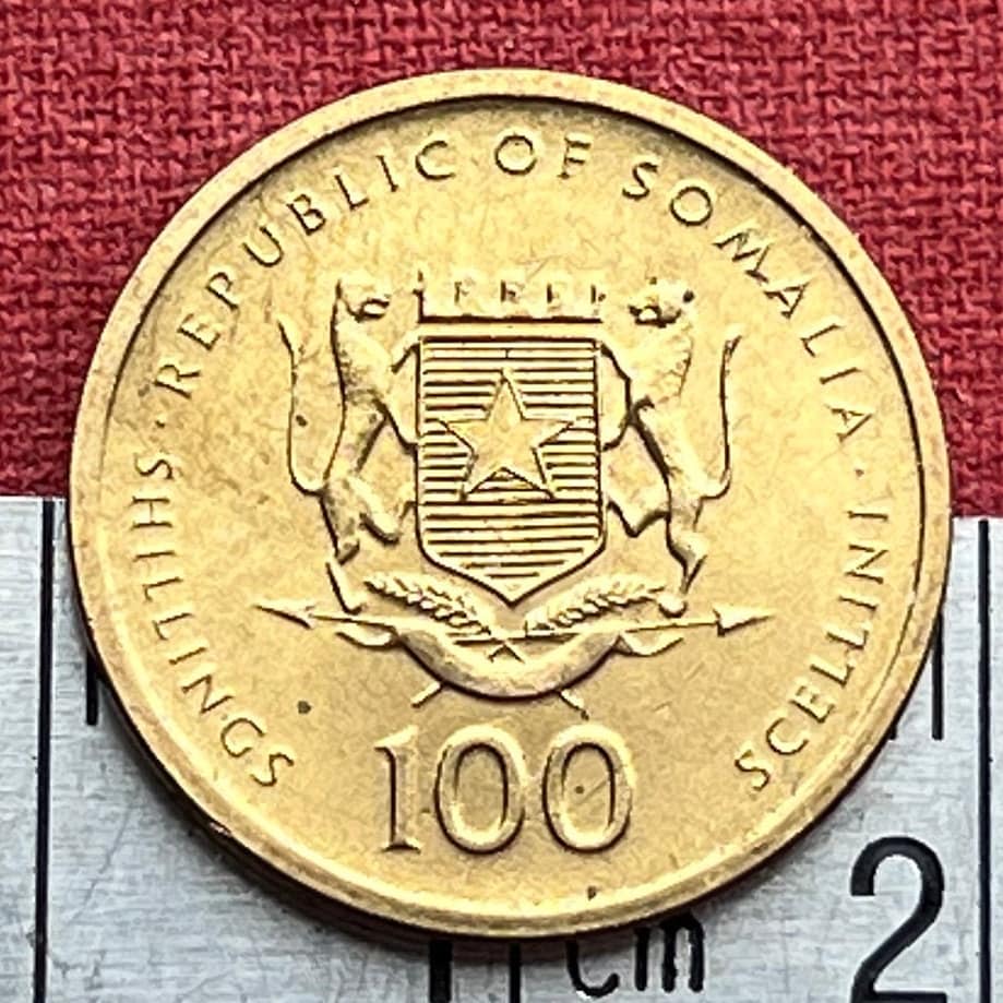 Queen of Sheba 100 Shillings Somalia Authentic Coin Money for Jewelry and Craft Making (Ethiopia) (Solomon) (Bible Coin) 2002
