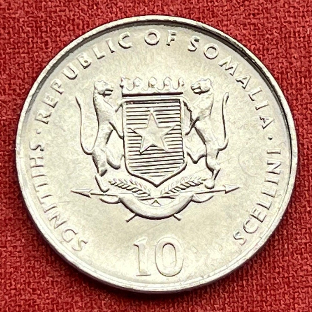 Year of the Dog Chinese Zodiac 10 Shillings Somalia Authentic Coin Money for Jewelry and Crafts 1910·1922·1934·1946·1958·1970·1982·1994·2006