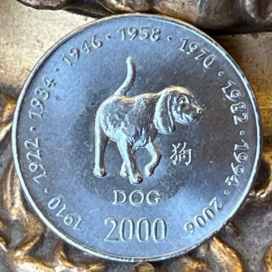 Year of the Dog Chinese Zodiac 10 Shillings Somalia Authentic Coin Money for Jewelry and Crafts 1910·1922·1934·1946·1958·1970·1982·1994·2006