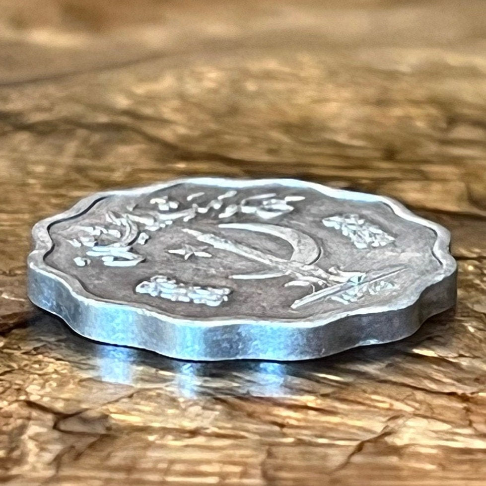 Minar-e-Pakistan & Star and Crescent 10 Paisa Pakistan Authentic Coin Money for Jewelry and Craft Making (Lahore Incident) (Scalloped Coin)