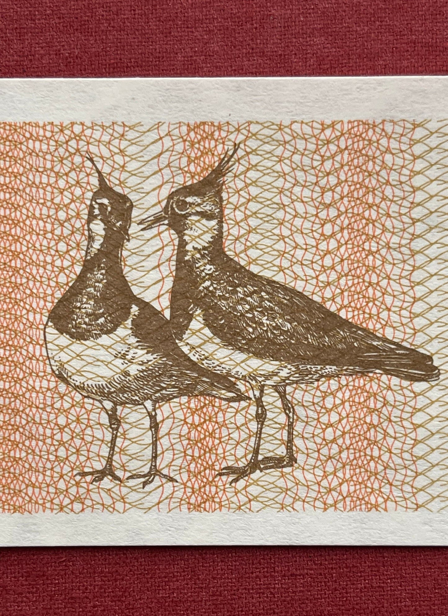 Northern Lapwings & Vytis Knight 1 Talonas Lithuania Authentic Banknote Money for Jewelry and Craft Making (Plover) (Peewit) (Love Birds)