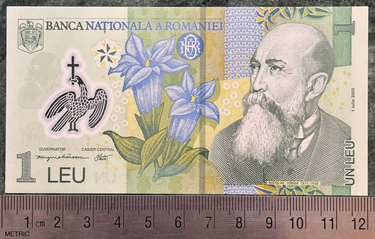 Willow Gentian Flowers; Historian Nicolae Iorga & Cathedral Curtea de Argeș 1 Leu Romanian Authentic Banknote Money for Collage (Eagle)