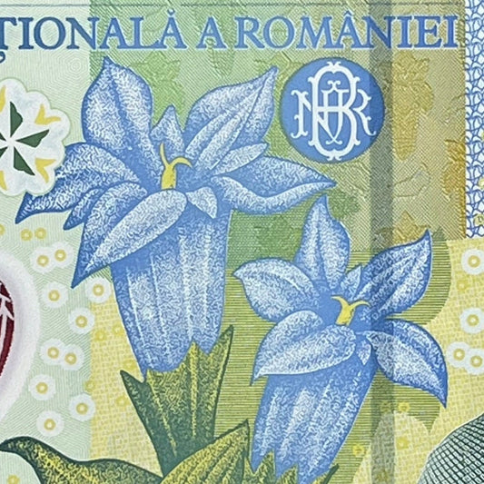 Willow Gentian Flowers; Historian Nicolae Iorga & Cathedral Curtea de Argeș 1 Leu Romanian Authentic Banknote Money for Collage (Eagle)