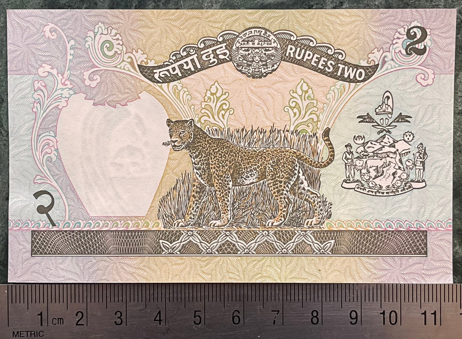 Clouded Leopard, King Birendra, Bajrayogini Temple 2 Rupees Nepal Authentic Banknote Money for Jewelry and Collage (Crown) Tantric Buddhism