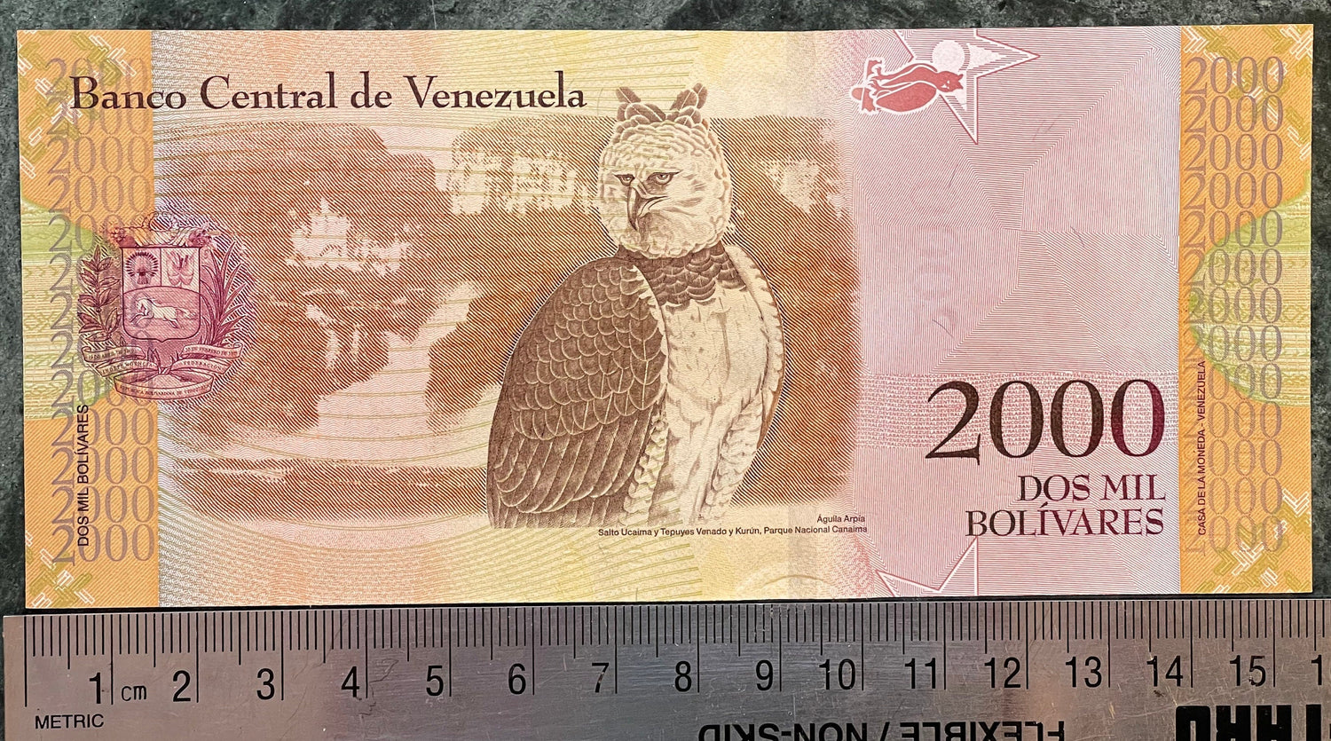 Harpy Eagle & Cacique Guaicaipuro 2000 Bolivares Venezuela Authentic Banknote for Jewelry and Collage (Tepuis) 2016 (Indigenous Resistance)