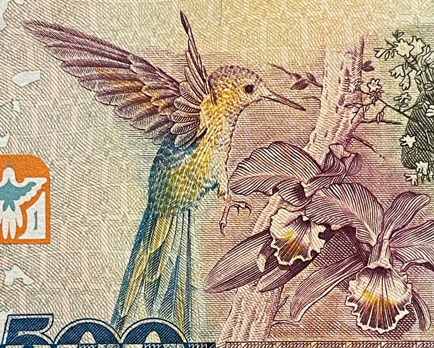 Swallow-Tailed Hummingbird, Environmentalist Augusto Ruschi & Cattleya Orchids 500 Cruzieros Brazil Authentic Banknote Money for Collage