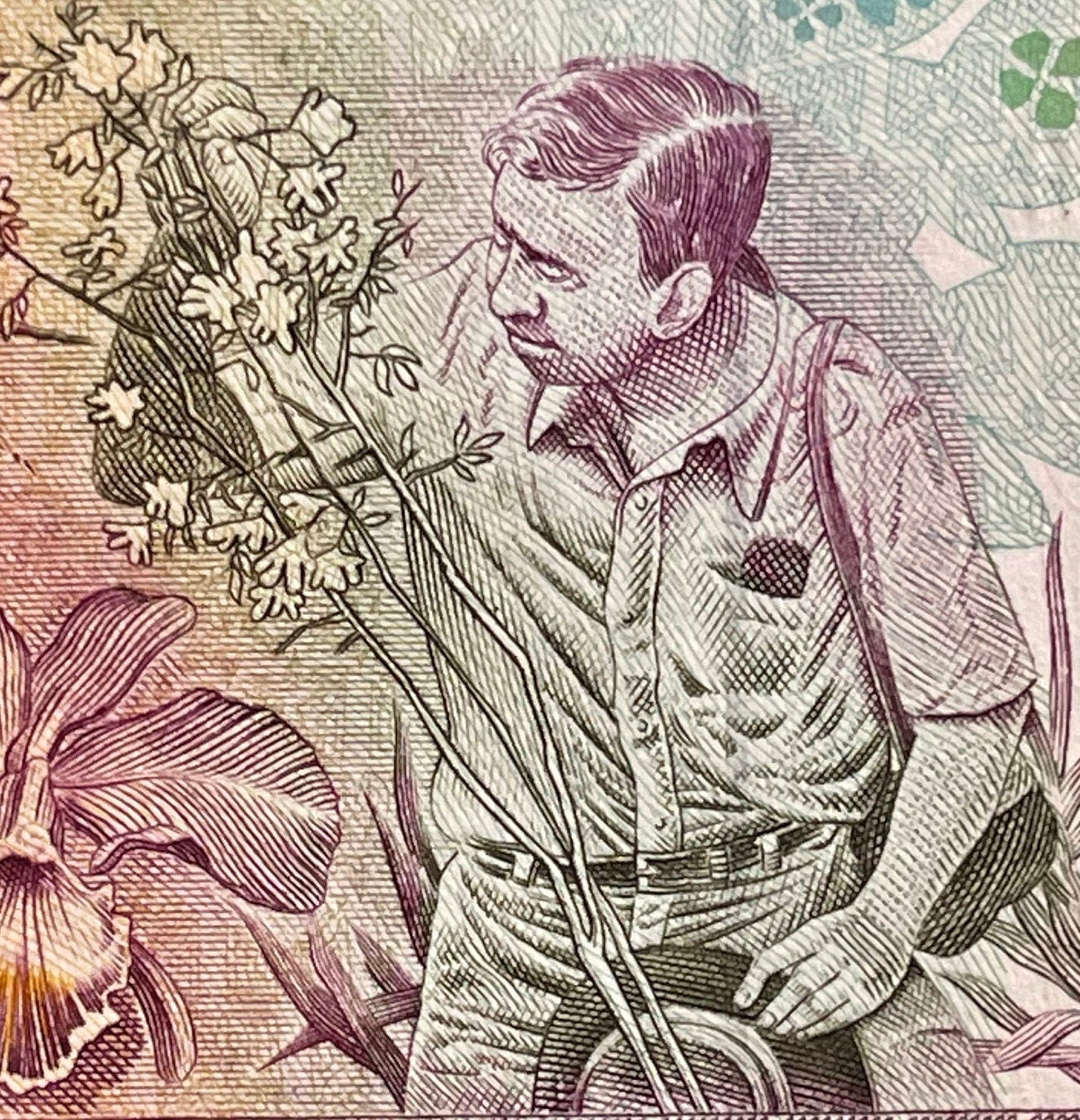 Swallow-Tailed Hummingbird, Environmentalist Augusto Ruschi & Cattleya Orchids 500 Cruzieros Brazil Authentic Banknote Money for Collage