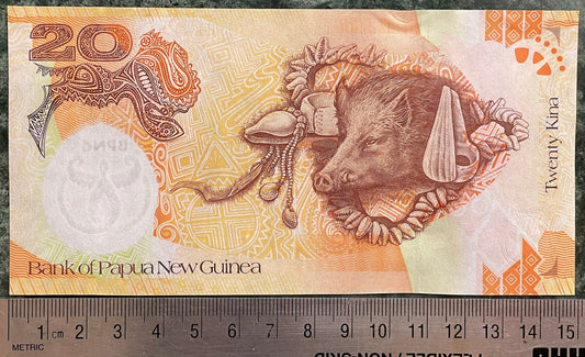 Wild Boar Head & National Parliament House 20 Kina Papua New Guinea Authentic Banknote Money for Jewelry and Collage (Capitalist Pig)