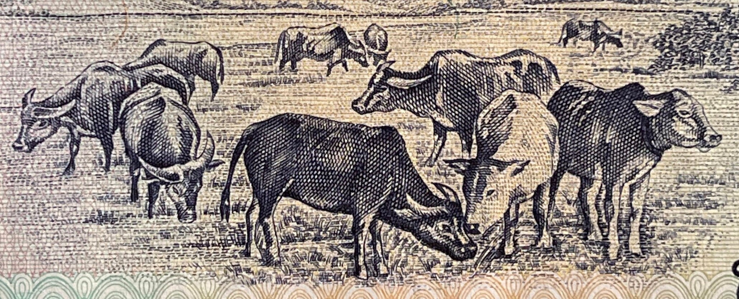 Diverse Lao Women; Indra Riding Airavata; Pha That Luang Buddhist Stupa & Cattle Grazing 1000 Kip Laos Authentic Banknote Money for Collage