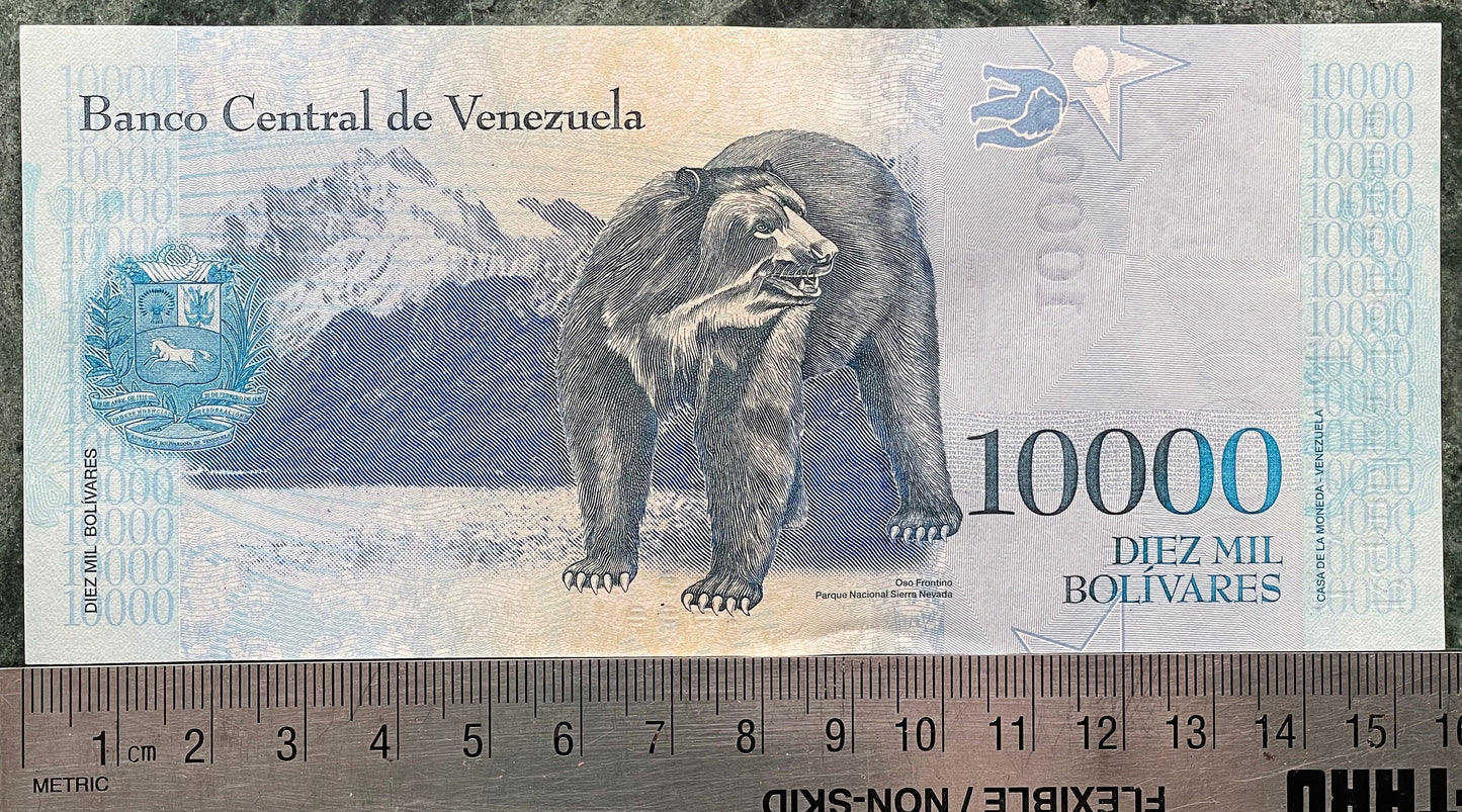 Andean Spectacled Bear & Philosopher Simón Rodríguez 10,000 Bolívares Venezuela Authentic Banknote Money for Jewelry and Collage (Educator)