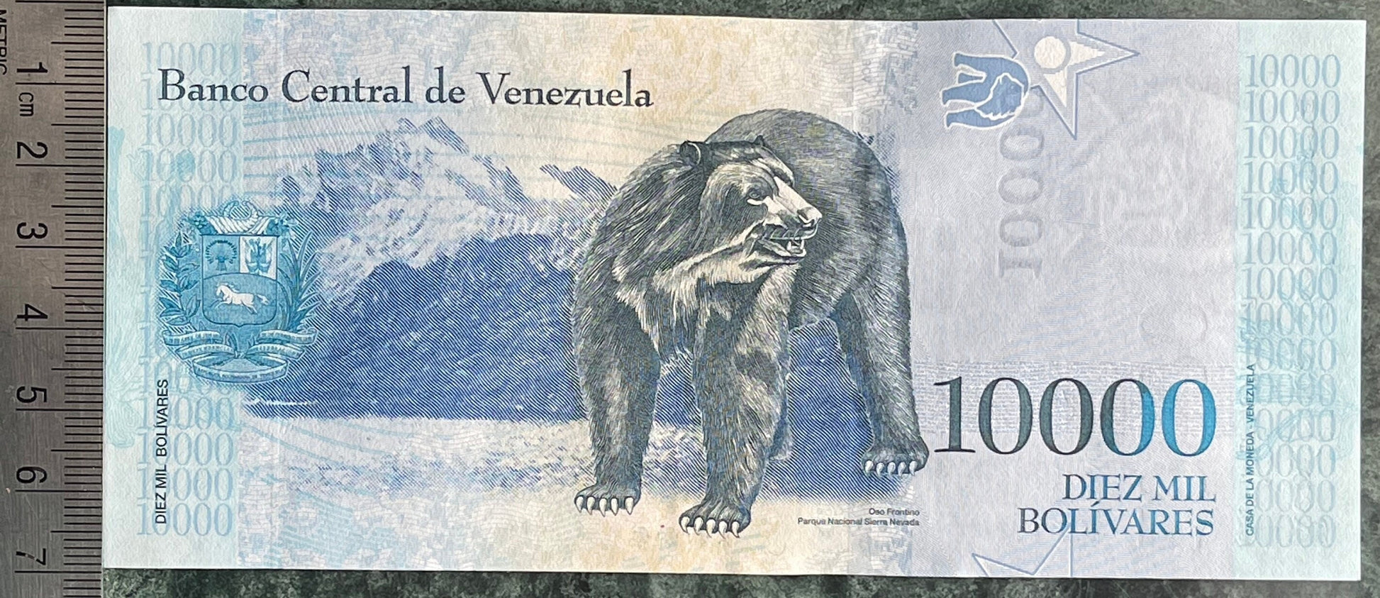 Andean Spectacled Bear & Philosopher Simón Rodríguez 10,000 Bolívares Venezuela Authentic Banknote Money for Jewelry and Collage (Educator)