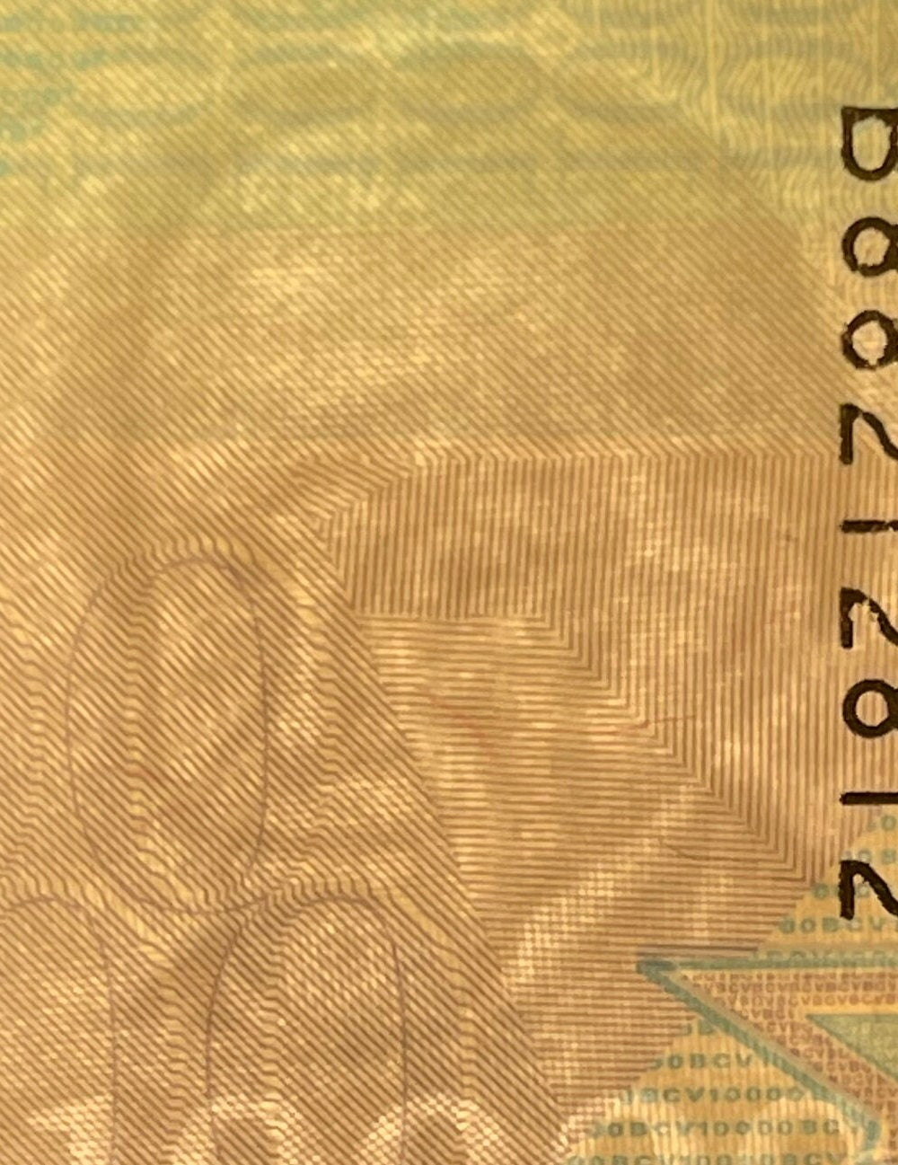 Andean Spectacled Bear & Philosopher Simón Rodríguez 10,000 Bolívares Venezuela Authentic Banknote Money for Jewelry and Collage (Educator)