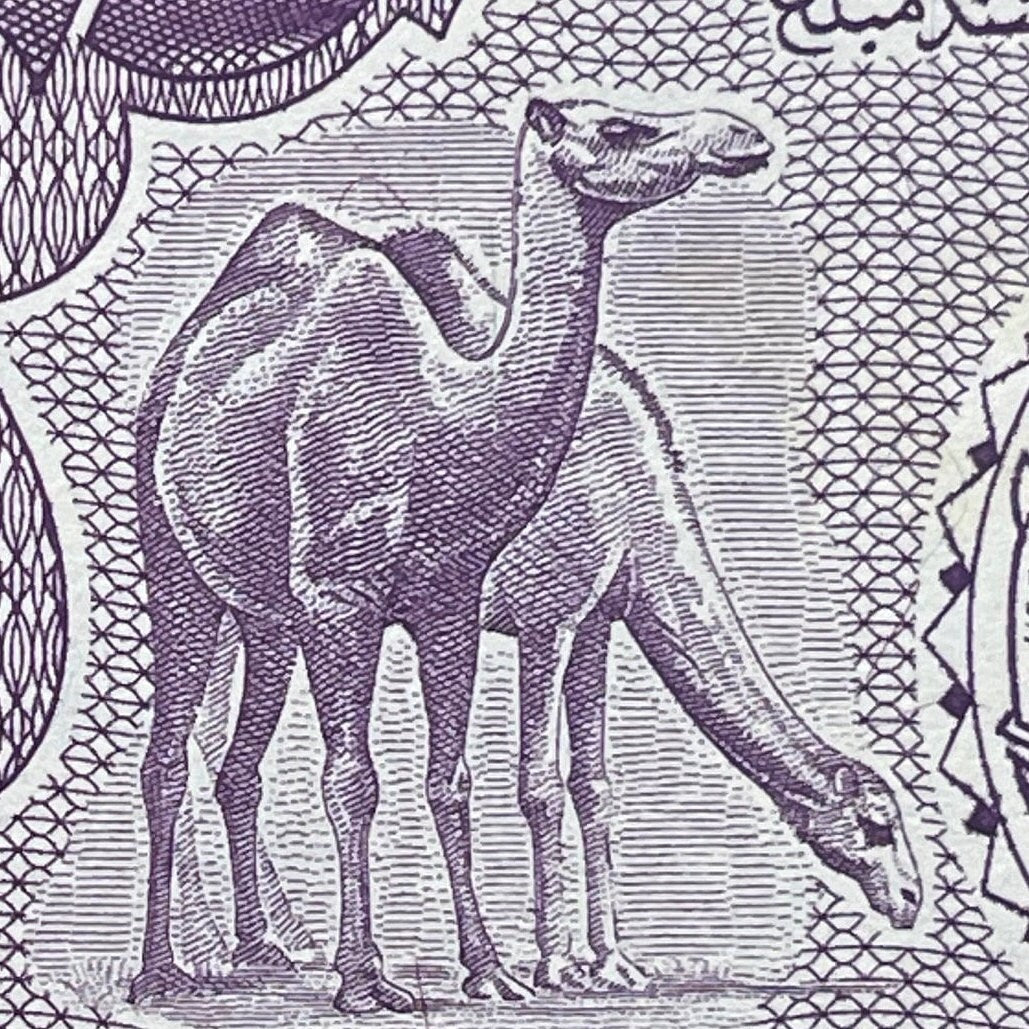 Dromedary Camels, Sudan Map & Central Bank 25 Piastres Authentic Banknote Money for Jewelry and Collage (Arabian)