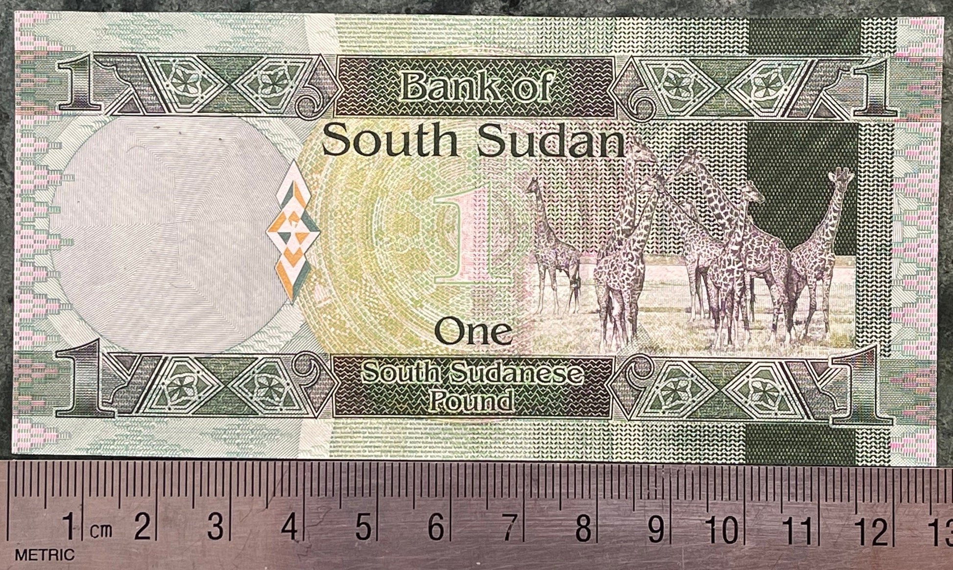 Nubian Giraffes & Revolutionary Leader Dr. John Garang 1 Pound South Sudan Authentic Banknote Money for Jewelry and Collage (Economist)