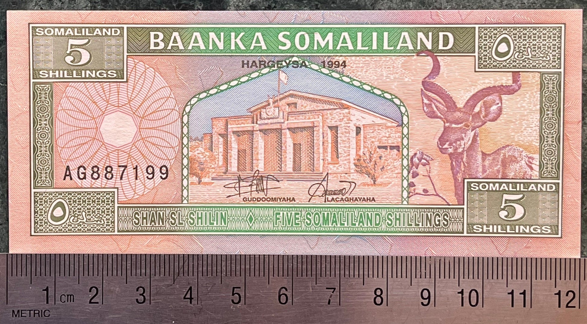 Nomad Camel Caravan, Kudu & Goodrika Supreme Court Building 5 Shillings Somaliland Authentic Banknote Money for Collage (Dromedary)