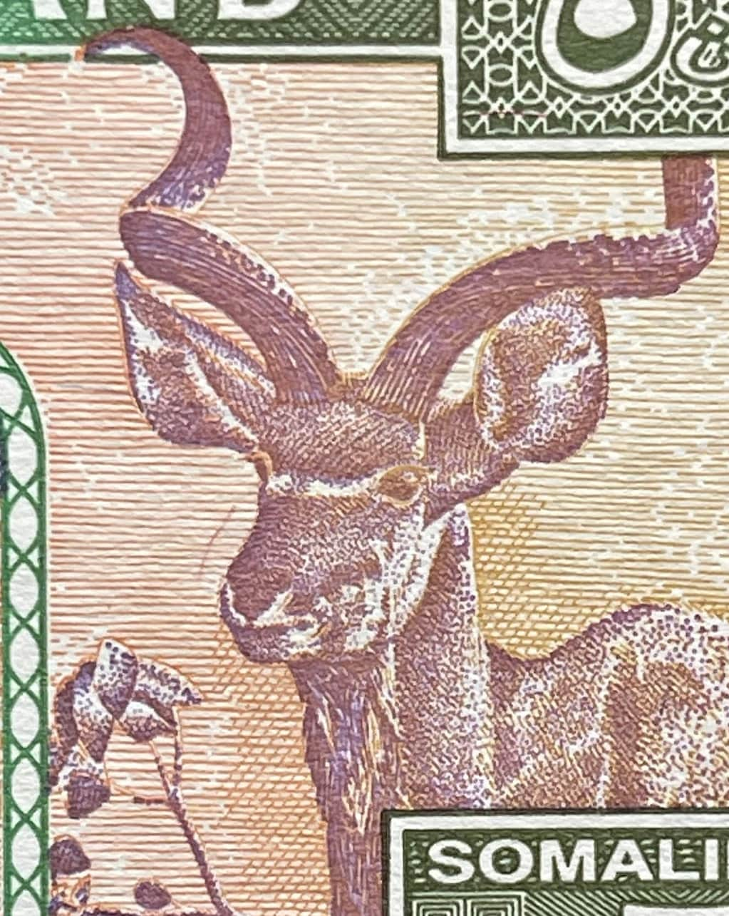 Nomad Camel Caravan, Kudu & Goodrika Supreme Court Building 5 Shillings Somaliland Authentic Banknote Money for Collage (Dromedary)