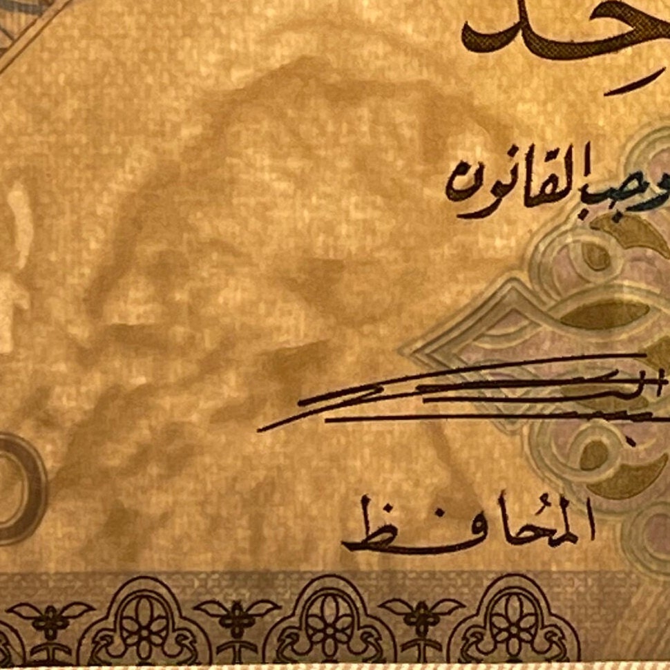 Lark, Bee-Eater, Plover & Sailing Dhow 1 Riyal Qatar Authentic Banknote Money for Jewelry and Collage (Al Jazeera) (Native Birds)