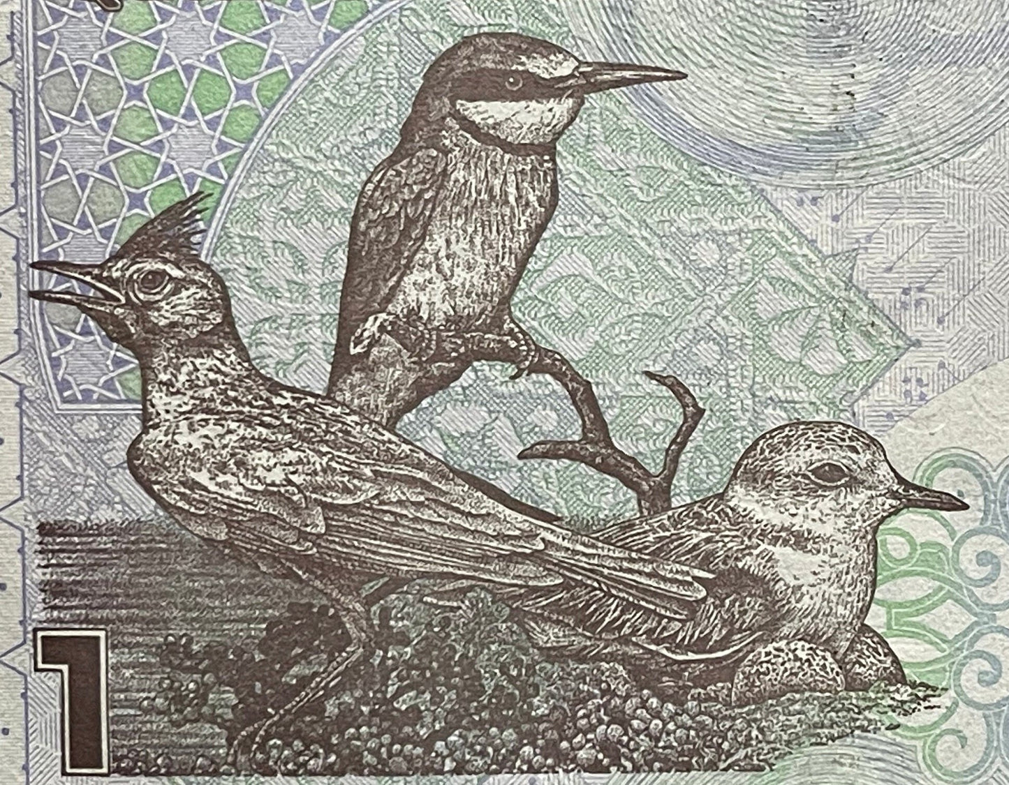 Lark, Bee-Eater, Plover & Sailing Dhow 1 Riyal Qatar Authentic Banknote Money for Jewelry and Collage (Al Jazeera) (Native Birds)