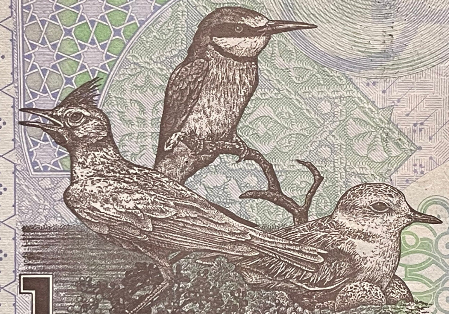 Lark, Bee-Eater, Plover & Sailing Dhow 1 Riyal Qatar Authentic Banknote Money for Jewelry and Collage (Al Jazeera) (Native Birds)