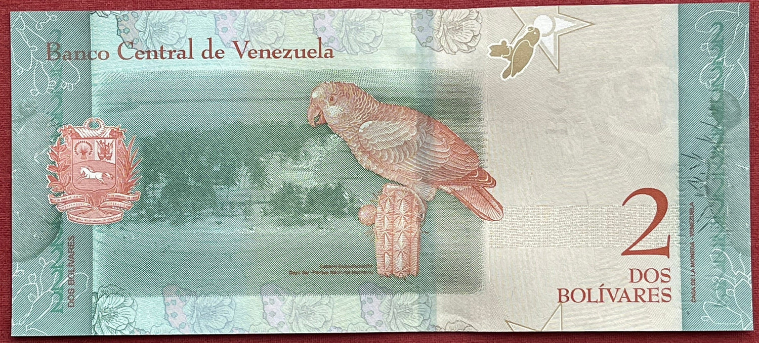 Doña Ignacia Josefa Camejo & Yellow-Crowned Parrot 2 Bolívares Venezuela Authentic Banknote Money for Collage (Revolutionary) (Lady Ardent)