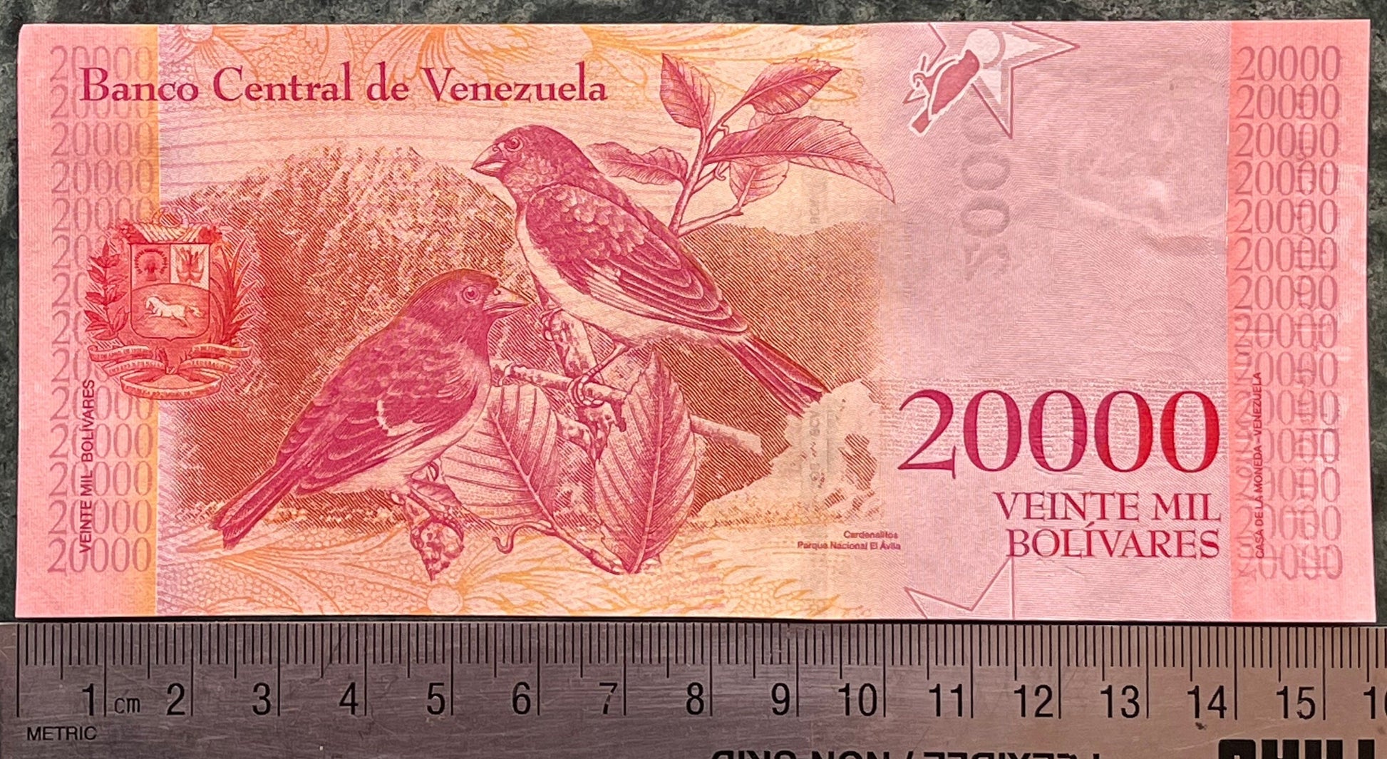 Liberator Simón Bolivar & Red Siskin Finches 20,000 Bolívares Venezuela Authentic Banknote Money for Collage (El Ávila National Park)