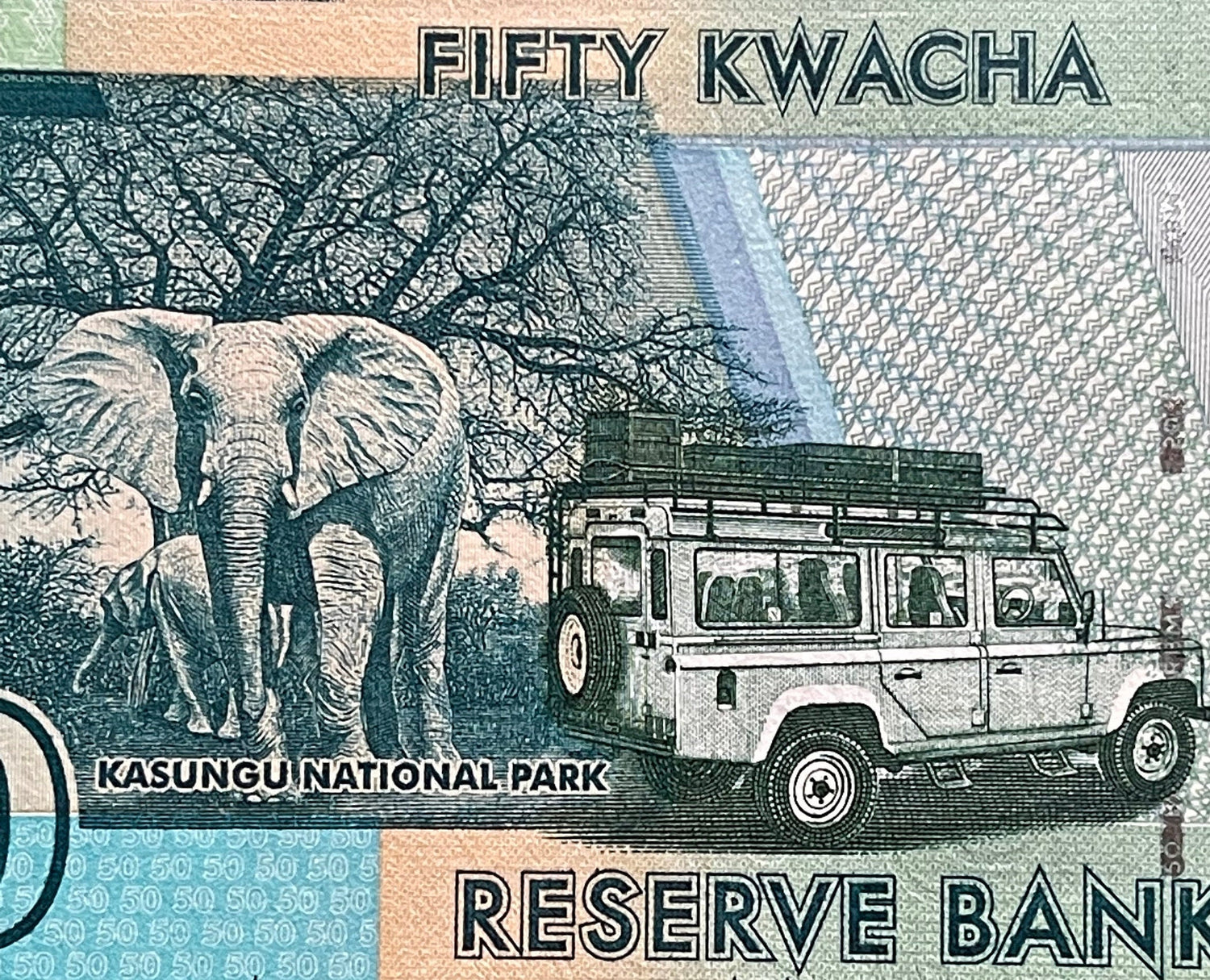 African Bush Elephants, Safari Jeep & Inkosi Ya Makhosi Gomani II 50 Kwacha Malawi Authentic Banknote Money for Collage (Cichlid) (Kasungu)