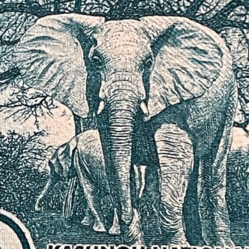 African Bush Elephants, Safari Jeep & Inkosi Ya Makhosi Gomani II 50 Kwacha Malawi Authentic Banknote Money for Collage (Cichlid) (Kasungu)